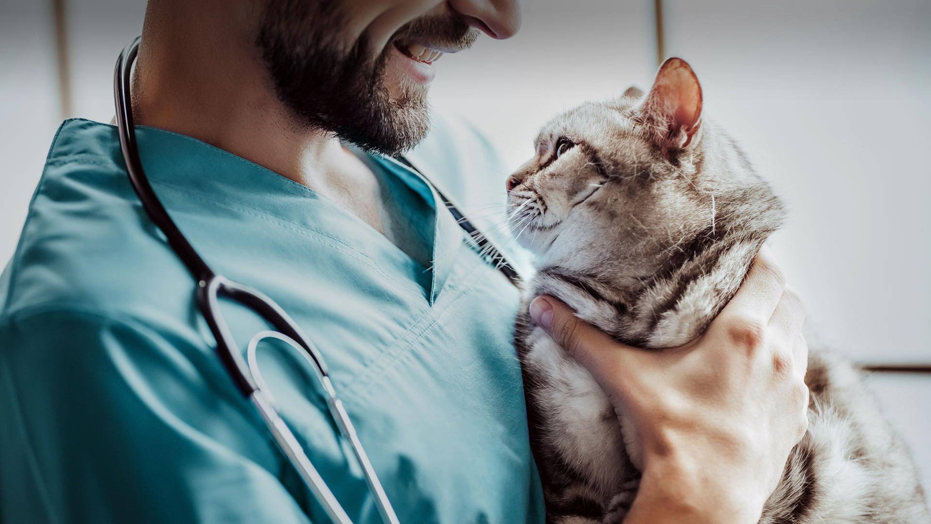 Yıldızeli Veteriner